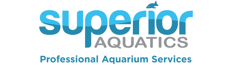 Superior Aquatics